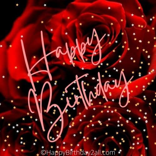 Write a Rose Beautiful Red Roses Bouquet with Happy Birthday Message |  Fresh Cut Flowers | 6 Red Ros…See more Write a Rose Beautiful Red Roses  Bouquet