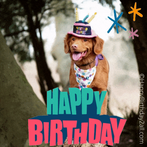 Birthday Wishes For Dog Puppy Pet Happy Birthday Dog Gif